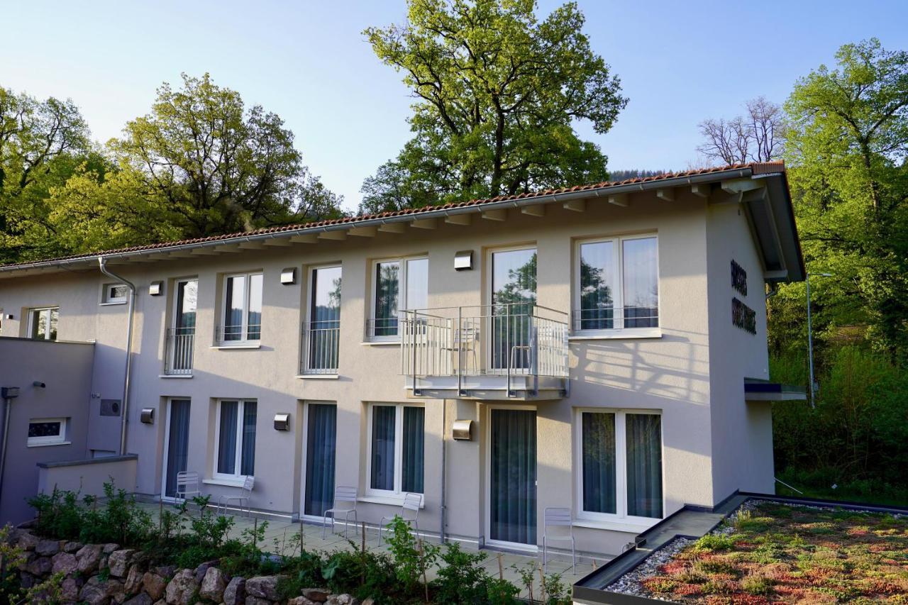 Busses Guesthouse Freiburg im Breisgau Exteriör bild