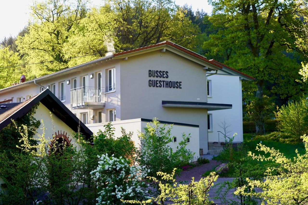 Busses Guesthouse Freiburg im Breisgau Exteriör bild